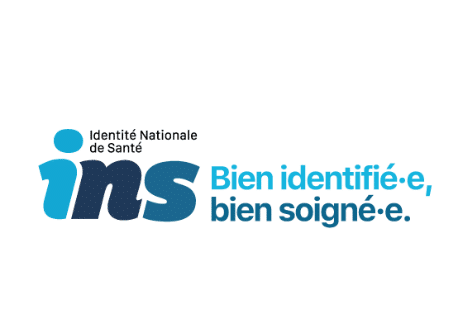 INS logo signature